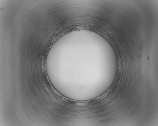 X0000053020272200507291741