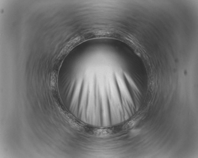 X0000053020277200507291741