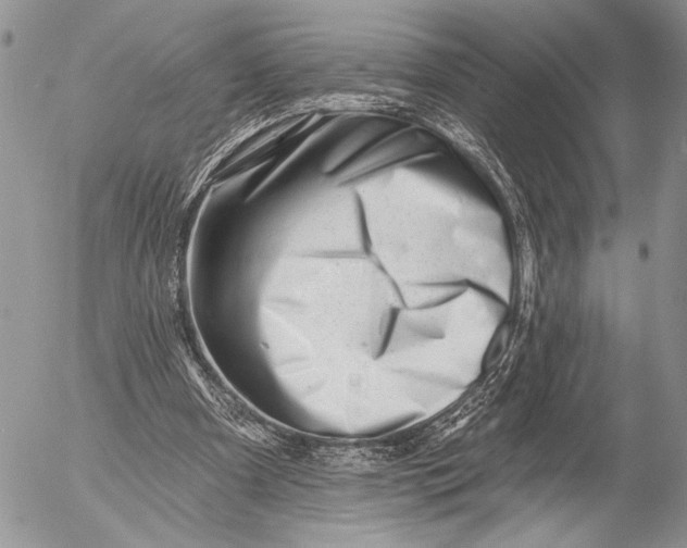 X0000053020297200507291740