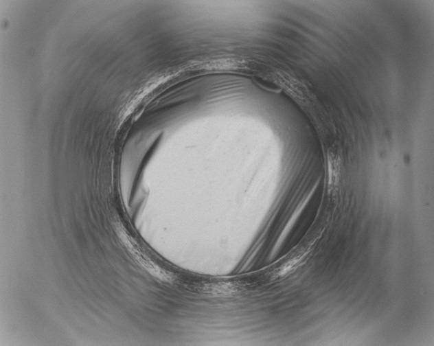 X0000053020301200507291740
