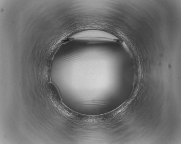 X0000053020305200507291740