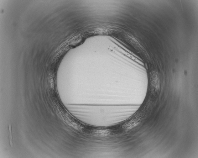 X0000053020313200507291740