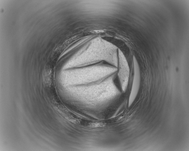 X0000053020319200507291740