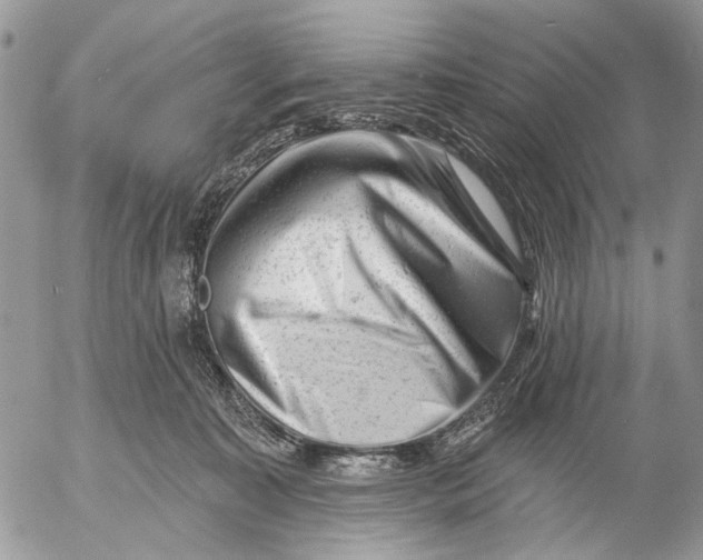 X0000053020323200507291740