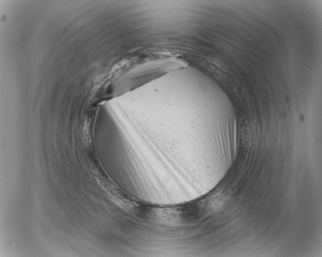 X0000053020327200507291740