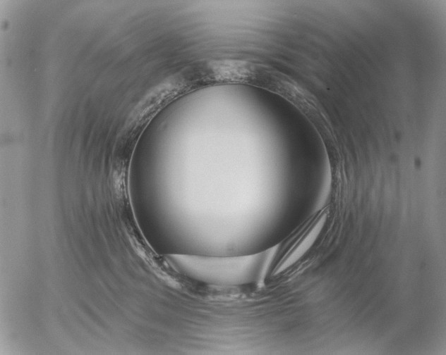 X0000053020329200507291740