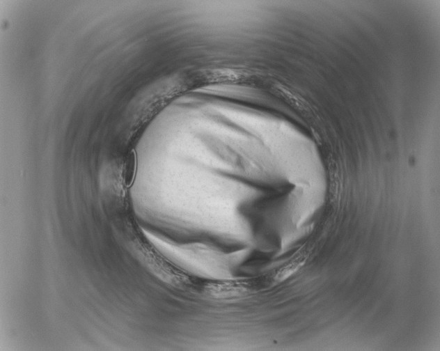 X0000053020331200507291740