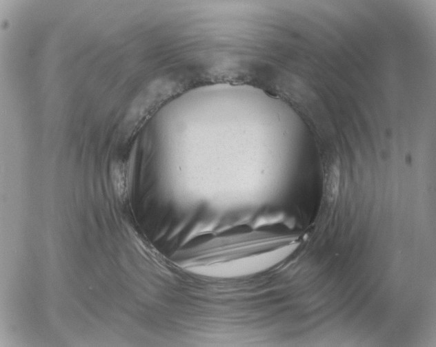 X0000053020335200507291740
