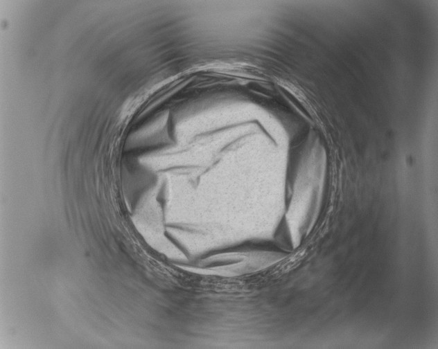 X0000053020337200507291739