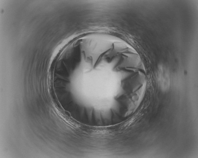 X0000053020342200507291739