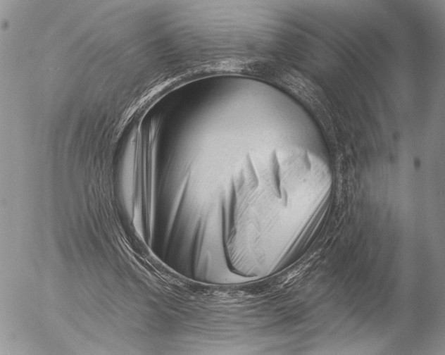 X0000053020346200507291739