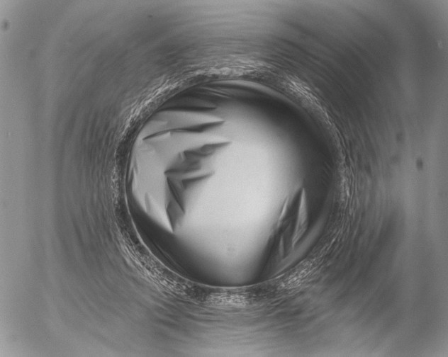 X0000053020354200507291739