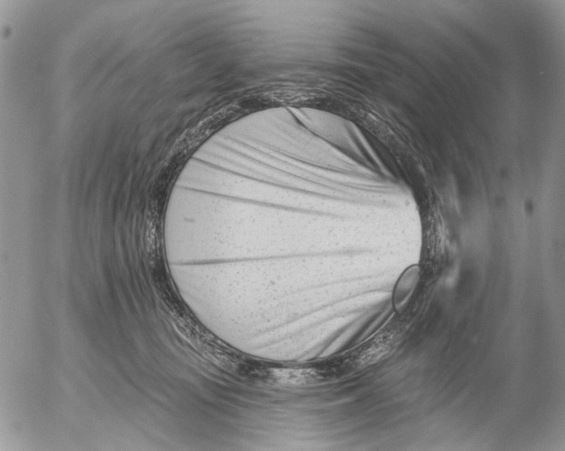 X0000053020371200507291739