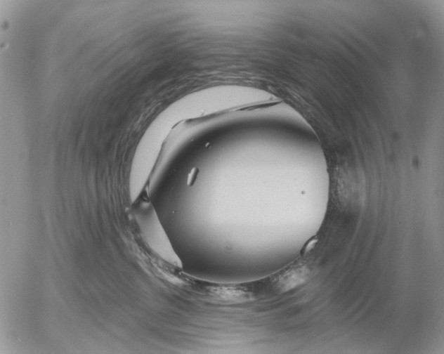 X0000053020380200507291739