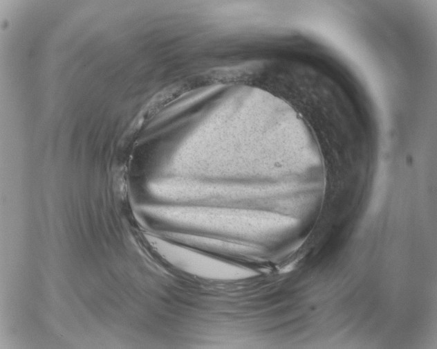 X0000053020383200507291740