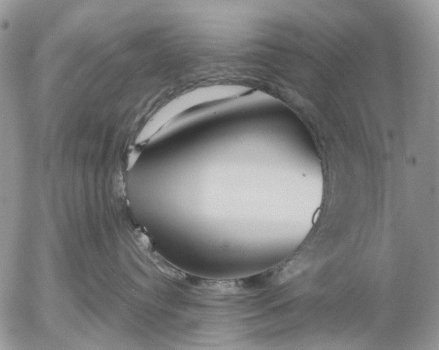 X0000053020384200507291740
