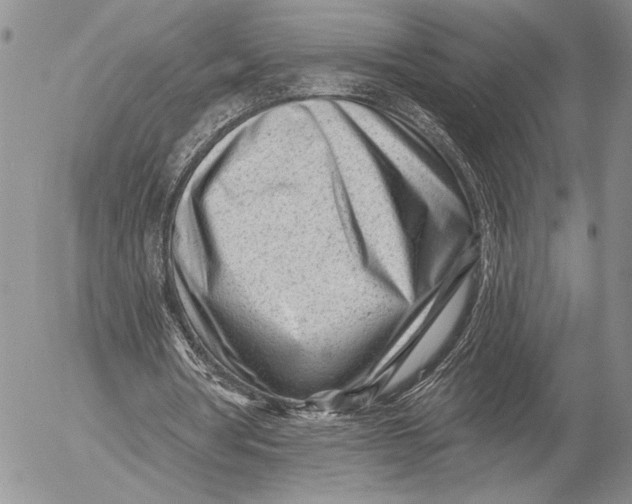 X0000053020386200507291739