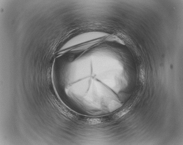 X0000053020409200507291738