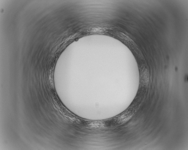 X0000053020415200507291738