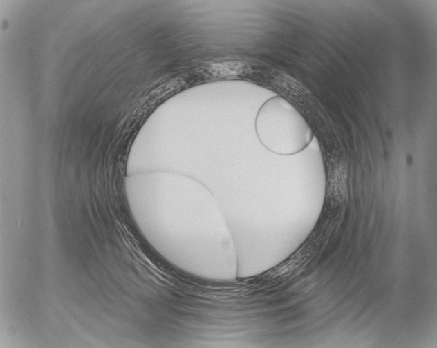 X0000053020418200507291738