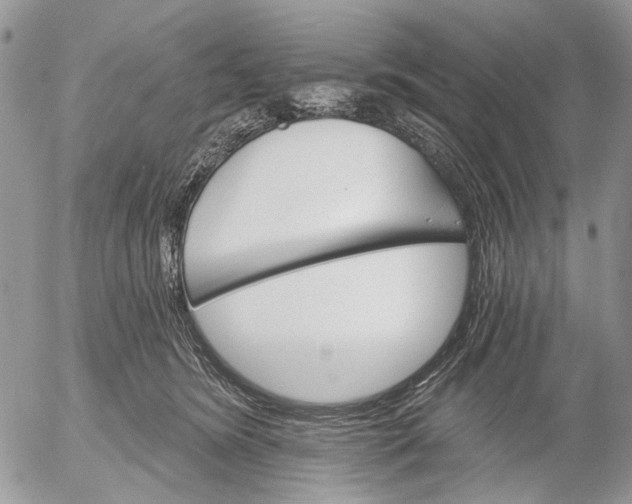 X0000053020420200507291738