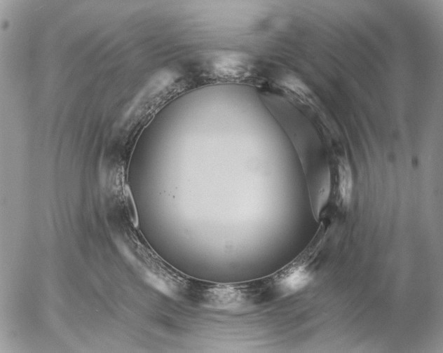 X0000053020425200507291738