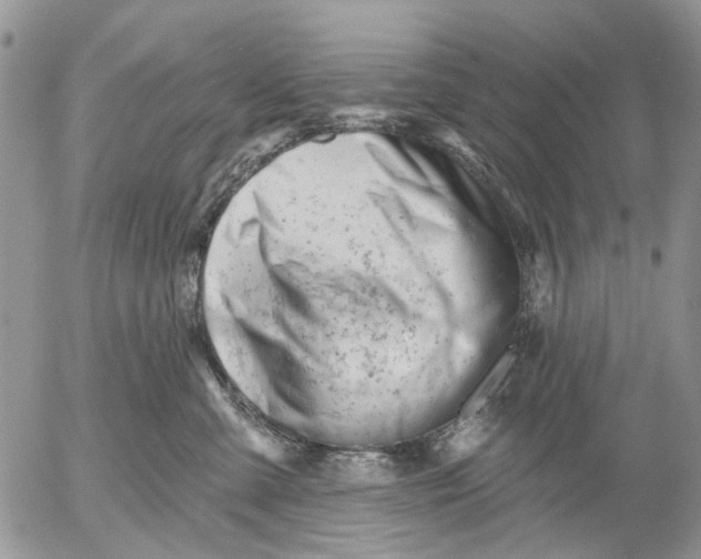 X0000053020427200507291738