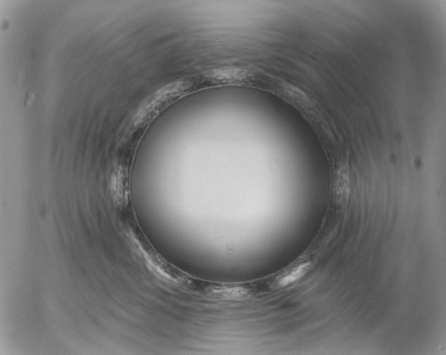X0000053020428200507291738