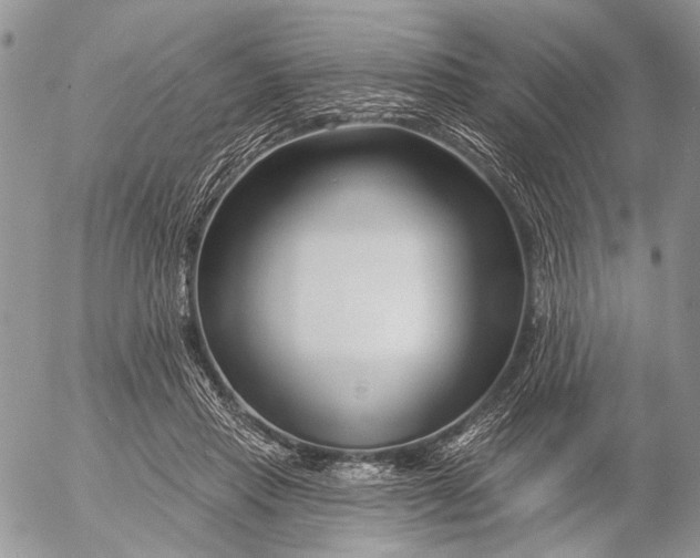 X0000053020453200507291738