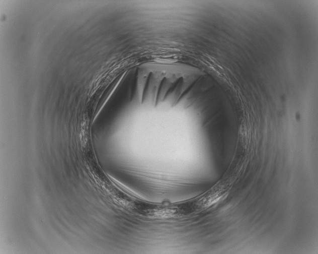 X0000053020462200507291738