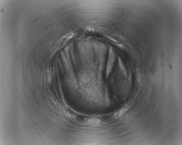 X0000053020471200507291738