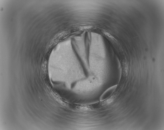 X0000053020475200507291738