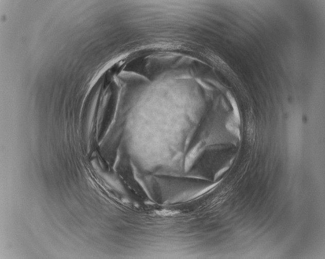 X0000053020484200507291737