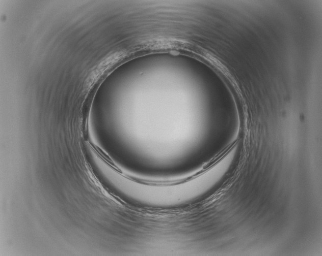 X0000053020485200507291737
