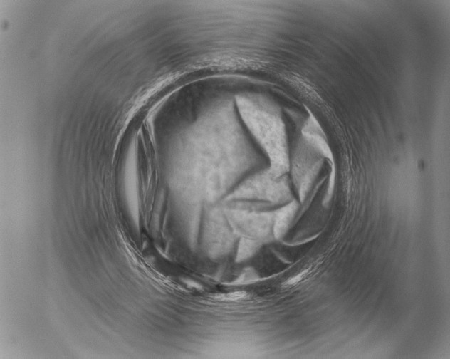 X0000053020488200507291737