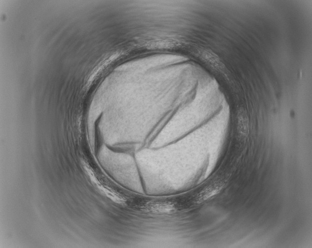 X0000053020491200507291737