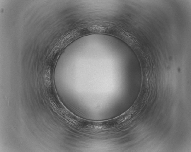 X0000053020498200507291737