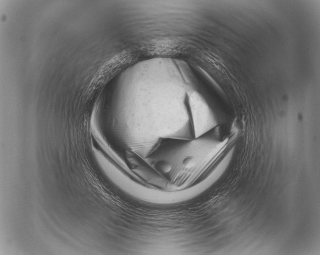 X0000053020503200507291737