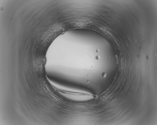 X0000053020505200507291737
