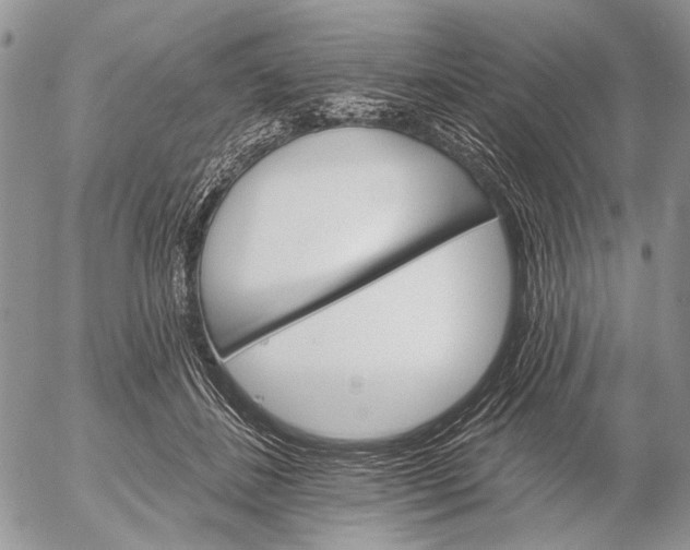 X0000053020508200507291737