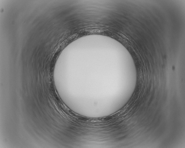 X0000053020512200507291737