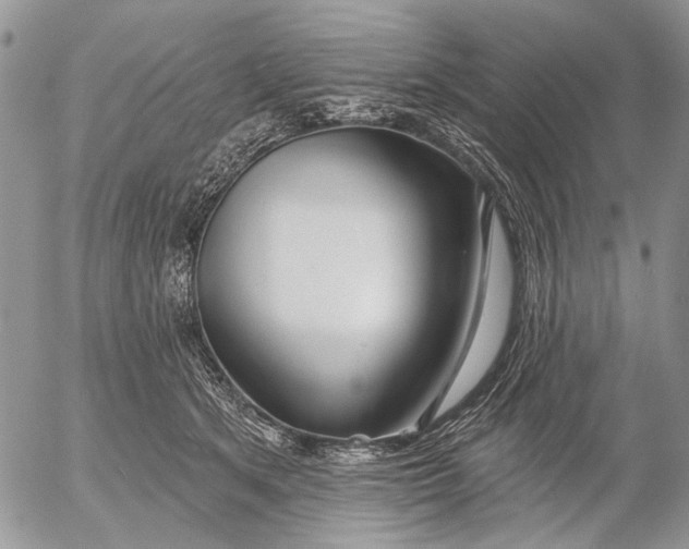 X0000053020513200507291737