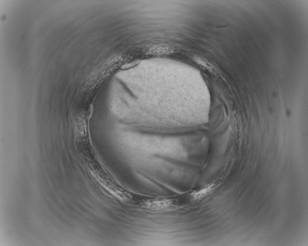 X0000053020517200507291737