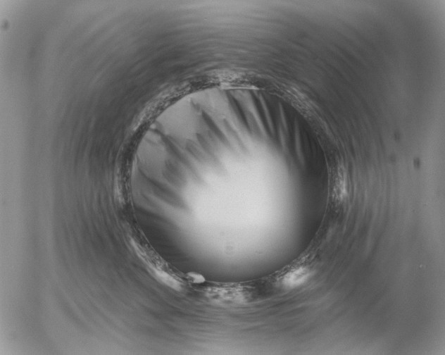 X0000053020524200507291736