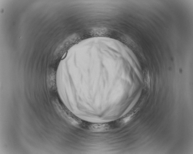 X0000053020526200507291736