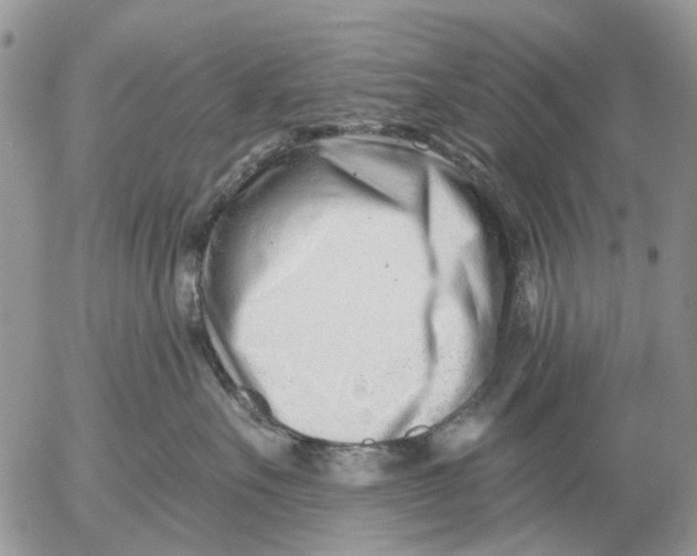 X0000053020527200507291736