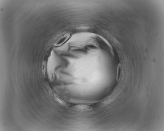 X0000053020528200507291736