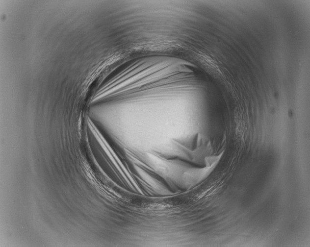 X0000053020542200507291736