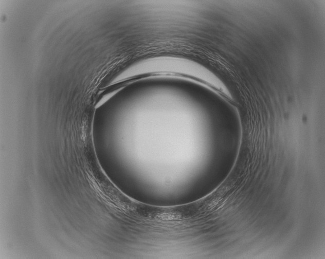 X0000053020546200507291736