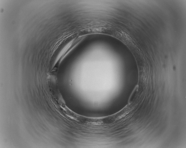 X0000053020548200507291736